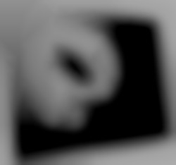 Member Image