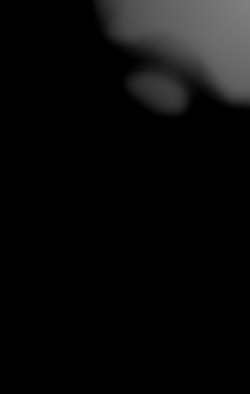 Member Image