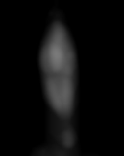 Member Image