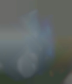 Member Image