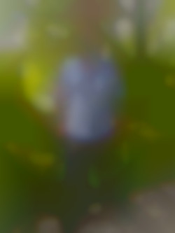 Member Image