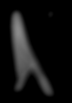 Member Image