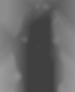 Member Image