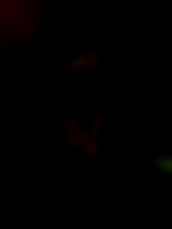 Member Image