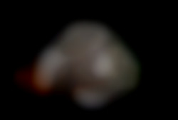 Member Image