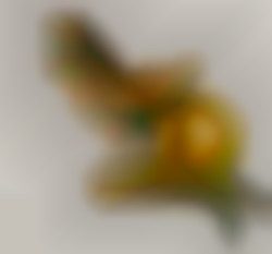 Member Image