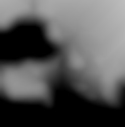 Member Image