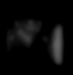 Member Image
