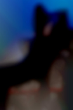 Member Image
