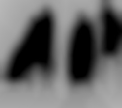 Member Image