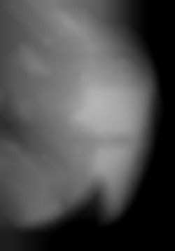Member Image
