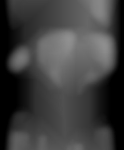 Member Image