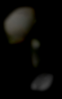 Member Image