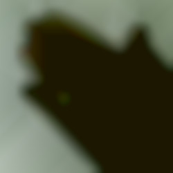 Member Image