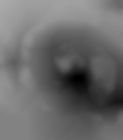 Member Image