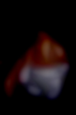 Member Image