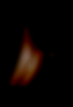 Member Image