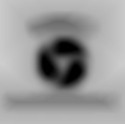 Member Image