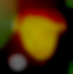 Member Image