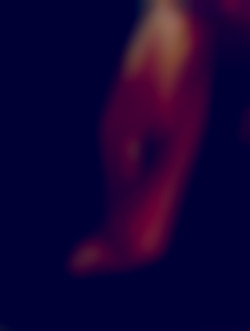 Member Image