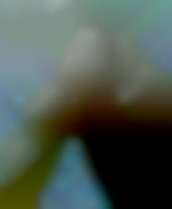 Member Image