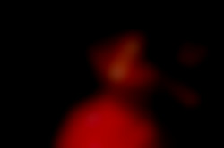 Member Image