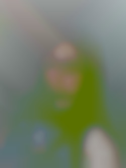 Member Image
