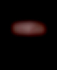 Member Image