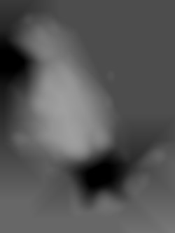 Member Image
