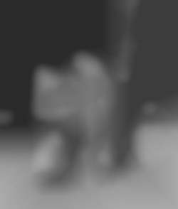 Member Image