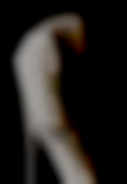 Member Image