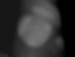 Member Image