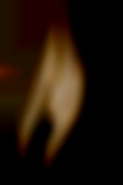 Member Image