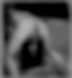 Member Image