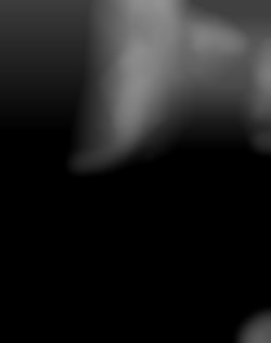 Member Image