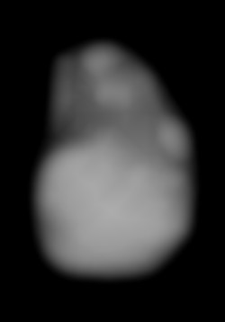 Member Image