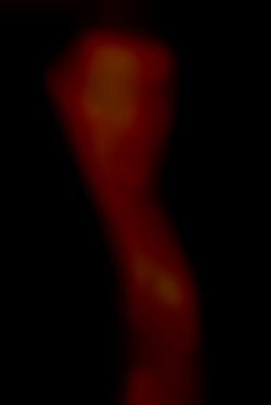 Member Image