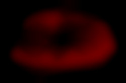 Member Image