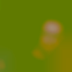 Member Image