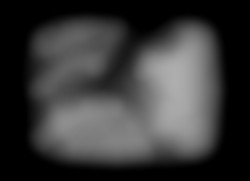 Member Image