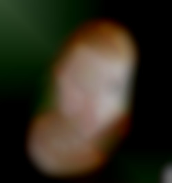 Member Image