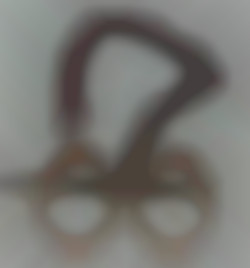 Member Image