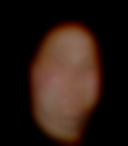 Member Image