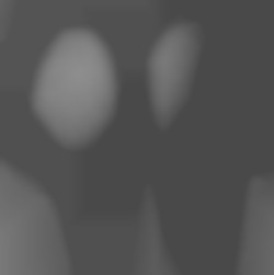 Member Image