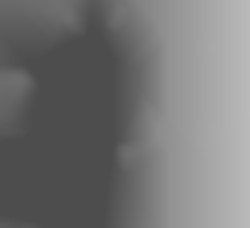 Member Image