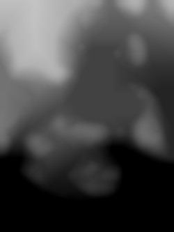 Member Image