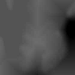 Member Image