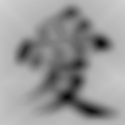 Member Image