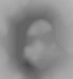 Member Image