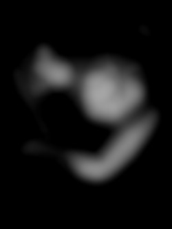Member Image
